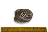 F 00920
<br/>
<br/>
<em></em>